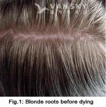 260616162500_Hair-Before Dying-s.jpg